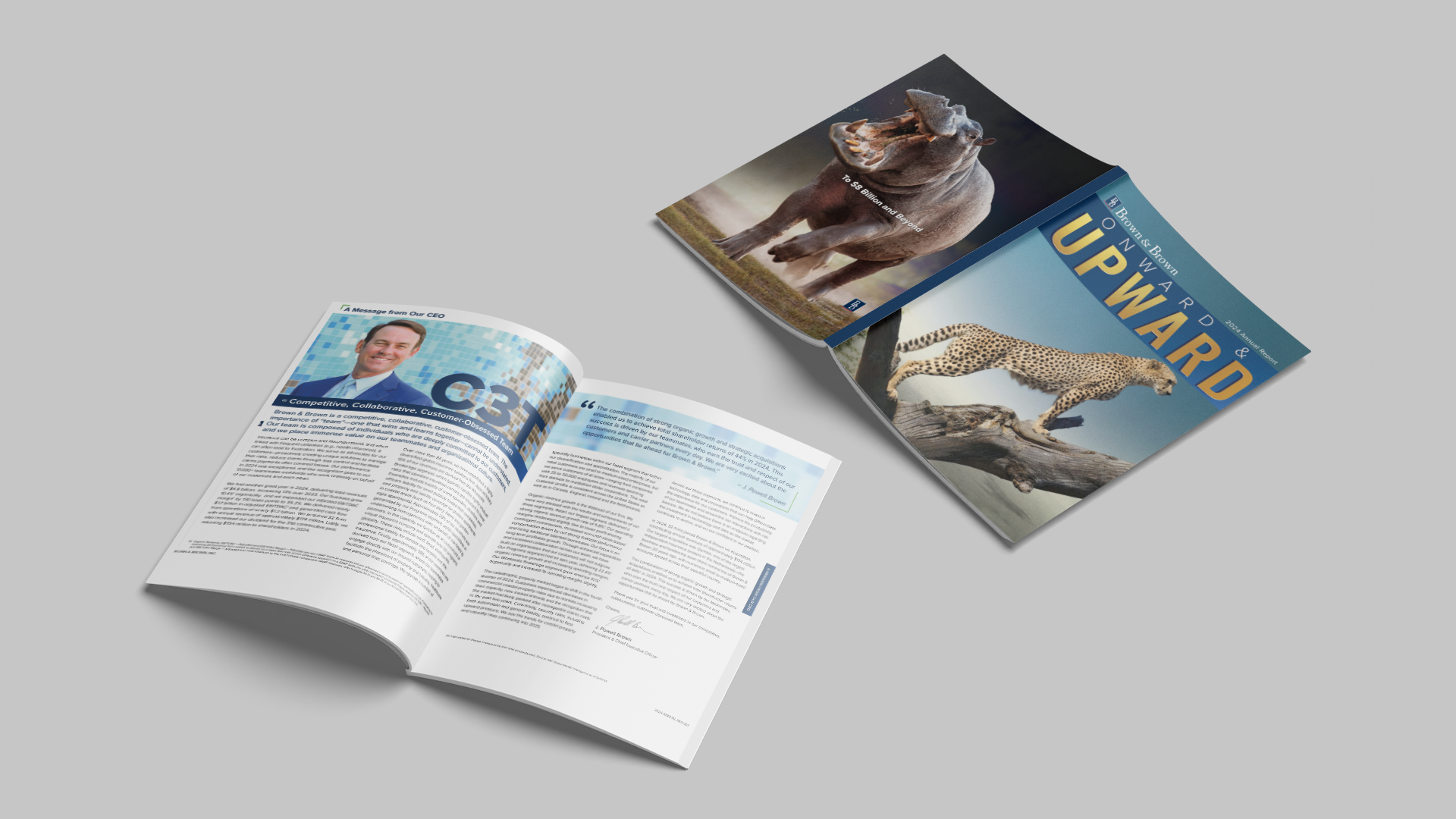 ANNUAL REPORT 2024 2025 visual data 7