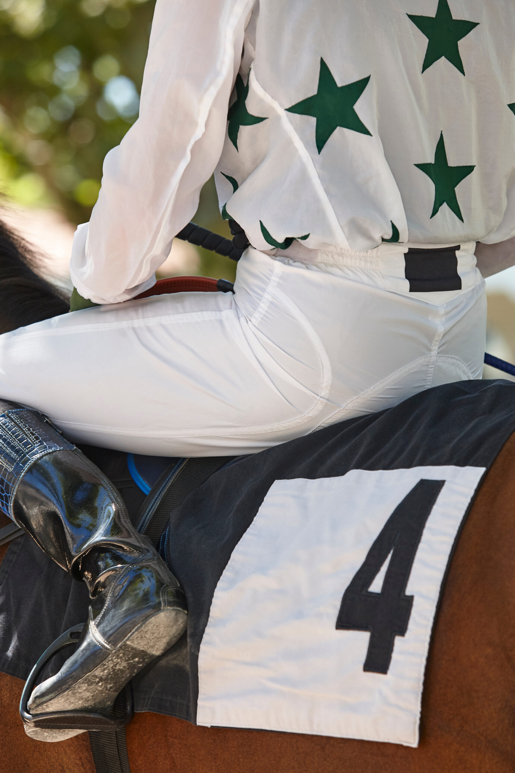 Race horse and jockey detail Purebred in the hippodrome. Turf